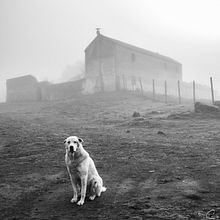 B&W Street Photography. Un projet de Photographie artistique de Francisco Miguel Pavón Capote - 24.10.2019