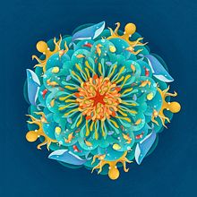 MANDALA MAR. Traditional illustration project by Ana Beatriz Reina Rojas - 10.25.2018