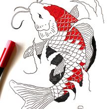 Koifish. Ilustração tradicional projeto de enric ciurana - 25.10.2019