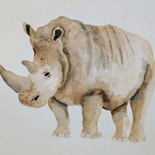 Meu projeto do curso: Técnicas experimentais de aquarela para principiantes . Projekt z dziedziny Malowanie akwarelą użytkownika Nathalia Barreiros - 27.10.2019