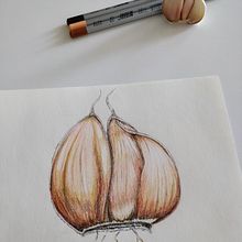 Mr. Garlic . Ilustrasi tradisional proyek oleh Yuliya Chernova - 10.30.2019
