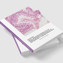 Maquetación tesis doctoral. Editorial Design project by Susana San Martín - 06.12.2016