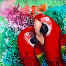 Guacamayos Ein Projekt aus dem Bereich Traditionelle Illustration und Digitale Illustration von Paola Giusti - 01.11.2019