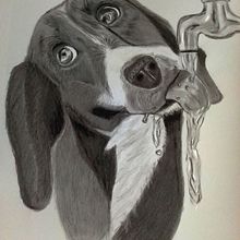 Sed. Pencil Drawing project by Zaida Olvera - 11.02.2019