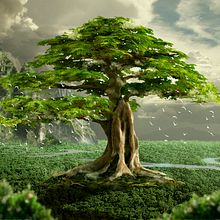 Mi Proyecto del curso: Matte Painting: creando mundos fotorrealistas. Photograph project by Lexa - 11.05.2019
