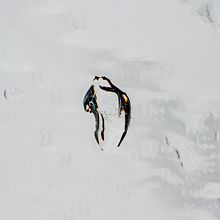 THE THAWING. Photograph project by Antonio Olmos Perez - 11.06.2019