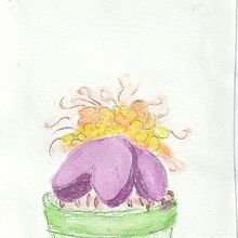 Pé de não sei o que !. Creativit project by Zahreen Adira - 11.07.2019