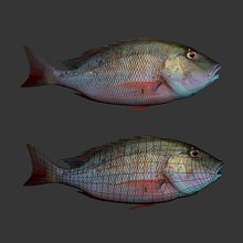 3D LOW POLY. 3D, Game Design, and 3D Modeling project by Yimit Ramírez González - 11.11.2019