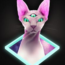 Cosmic Cat. Projekt z dziedziny  Projektowanie 3D i  Modelowanie 3D użytkownika Hodei Piquer Garcia - 13.11.2019