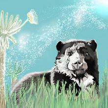 Oso anteojos. Desenho artístico projeto de Itma Selene Torres - 13.11.2019