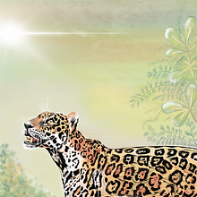 Jaguar. Desenho projeto de Itma Selene Torres - 13.11.2019