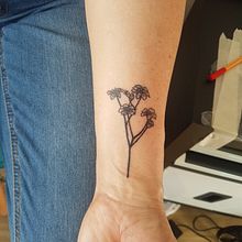Mi Proyecto del curso: Tatuaje para principiantes. Un proyecto de Diseño de tatuajes de camila_ecg - 14.11.2019