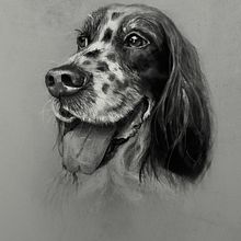 Mi Proyecto del curso: Ilustración artística y comercial. Un projet de Beaux Arts, Créativité, Dessin au cra, on, Dessin artistique, Dessin de portrait, Dessin réaliste, Conception éditoriale , et Retouche photographique de Irene Gómez - 15.11.2019