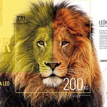 Dossier Selwo Aventura . % Yrene Contreras tarafından hazırlanan Editör, al Tasarım, Ve Grafik Tasarım projesi - 06.18.2017