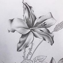 Clase 1 . Pencil Drawing, and Artistic Drawing project by Ale Ubieta - 11.19.2019