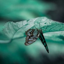 fotito . Photograph, and Fine-Art Photograph project by Ale Ubieta - 11.19.2019