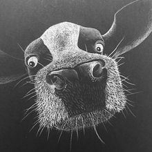 clase 2 (animales). Artistic Drawing project by Ale Ubieta - 11.19.2019