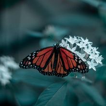 foto3. Photograph, and Fine-Art Photograph project by Ale Ubieta - 11.19.2019