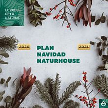 PLAN DIETÉTICO NAVIDAD. Creativit, Art Direction, and Graphic Design project by Jesús Fernando Martín - 11.20.2019