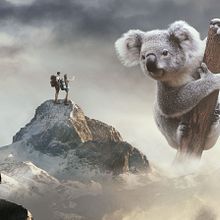 FOTOMONTAJE SURREALISTA KOALA. Un progetto di Graphic design di ebelags - 21.11.2019