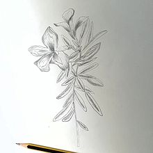 Dibujo Realista Elementos de la Naturaleza. Un progetto di Disegno realistico e Disegno artistico di Natalia Osuna Pérez - 23.11.2019