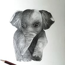 Dibujos de Animales Realistas Lápiz sobre Hoja Blanca. Un progetto di Disegno artistico e Disegno realistico di Natalia Osuna Pérez - 23.11.2019