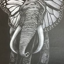 Animales blanco y negro. Sketching, Drawing, Pencil Drawing, and Realistic Drawing project by Nika Kishtanova - 11.24.2019