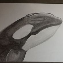 DA 1. Fine Arts project by Ángel Silva - 11.24.2019