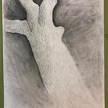 Trama Arbol. Un proyecto de Bellas Artes de Ian Ariño - 25.11.2019