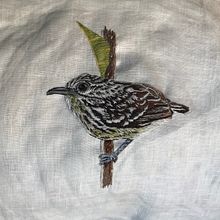 Hormiguerito del pacífico (Myrmotherula pacifica). Een project van Craft y Borduurwerk van Carolina Salazar Rincón - 25.11.2019