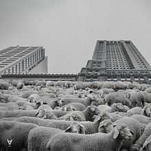 Piezas I - Machina Corde. Un progetto di Collage, Direzione artistica, Design editoriale e Graphic design di Andrés Menchén - 02.04.2018