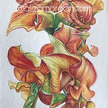 Mi Proyecto del curso: Ilustración botánica con acuarela. Een project van Traditionele illustratie,  Beeldende kunst, Schilderij,  Tekening, Aquarelschilderen y  Botanische illustratie van Aliza Morgenstern - 26.11.2019