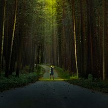 Mi Proyecto del curso: La luz fantasma: técnica de iluminación y tratamiento del color. Un progetto di Fotografia di gangcha60 - 28.11.2019