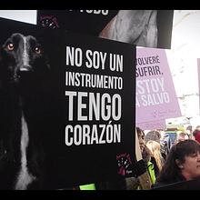 Manifestación #NoALaCaza 3F. Un proyecto de Cine, vídeo y televisión de David Aguilar - 04.02.2019