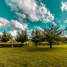 Mi Proyecto del curso: Introducción a la fotografía digital Ein Projekt aus dem Bereich Digitalfotografie von millie_molnun - 29.11.2019