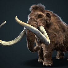 Proyecto final XGen Mammoth. Projekt z dziedziny Projektowanie postaci 3D użytkownika Jovany Cárdenas - 29.11.2019