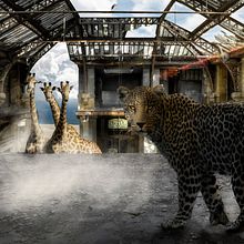 La curiosidad. Un progetto di Fotografia artistica di Lola Martinez Piñero - 23.04.2020