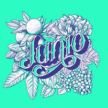 Junio 2018 Ein Projekt aus dem Bereich Beleuchtungsdesign, Verlagsdesign, Lettering und Digitales Lettering von Simón Londoño Sierra - 15.01.2018