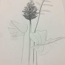 dibujos de la linia i sombra . Projekt z dziedziny  Rysunek artystyczny użytkownika yan_zhu - 02.12.2019