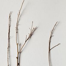Mi Proyecto del curso: Las leyes de la percepción visual: unidad, peso, equilibrio y movimiento. Photograph, Fine-Art Photograph, and Digital Photograph project by Lorena González López - 12.05.2019
