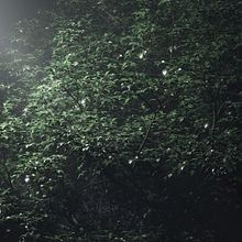 FOG-SHOWER. 3D, and Architecture project by Alberto Luque - 12.05.2019
