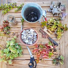 Mi Refugio Botánico: Jardinería Urbana. Un progetto di Architettura, Interior Design, Interior design, Interior Design e Paesaggismo di Paula Gonzalez - 05.12.2019