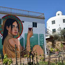 Mural Viñedo Don Raul Valle Guadalupe. Un projet de Art urbain , et Peinture de Daniel Alvarado Ramirez - 20.03.2018
