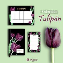 Tulipán negro: Proyecto del curso "Ilustración botánica con acuarela". Fine Arts, Traditional illustration, and Watercolor Painting project by Paula Catalán Aedo - 12.06.2019