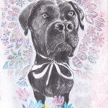 My first project in Portrait with Pencil, Colour Techniques and Photoshop co. Un proyecto de Dibujo, Ilustración tradicional, Pintura y Dibujo realista de Danni Meyerson - 09.12.2019