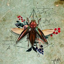 INSECTOS. Un proyecto de Collage de Santiago Escobar - 09.12.2019