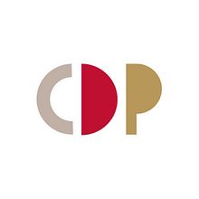 CDP . % Salvartes Design tarafından hazırlanan Markalaşma ve Kimlik, Ve Tasarım projesi - 12.10.2013