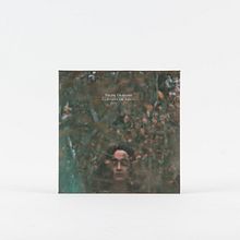Felipe Grandón | La Botánica del Asfalto . Een project van  Art direction,  Ontwerp, Grafisch ontwerp y Fotografie van Fragilidades - 10.12.2019