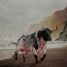 LIBERTAD Ein Projekt aus dem Bereich Grafikdesign von Cris Molina - 11.12.2019