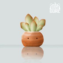 Gif test / Cute Bouncing Plant. 3D Animation, Character Animation, and Digital Illustration project by Rose Villacorta - 12.12.2019